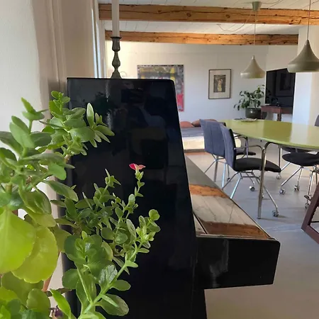 Renovated Country 50 M From The Sea