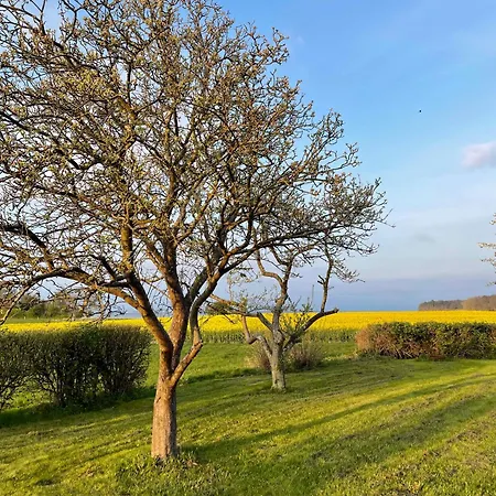 Renovated Country 50 M From The Sea Bandholm