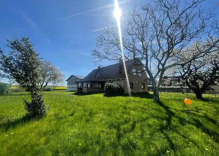 Renovated Country 50 M From The Sea