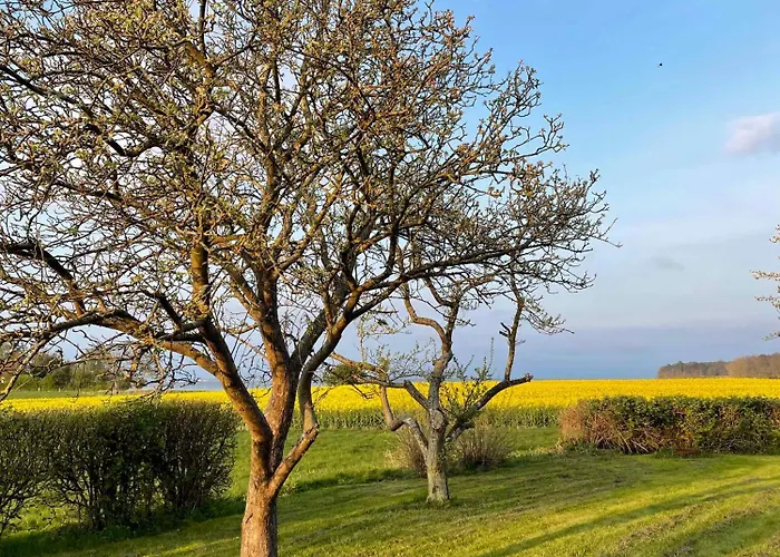 Villa Renovated Country 50 M From The Sea Bandholm